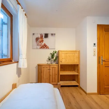 Haus Buachwald Schruns